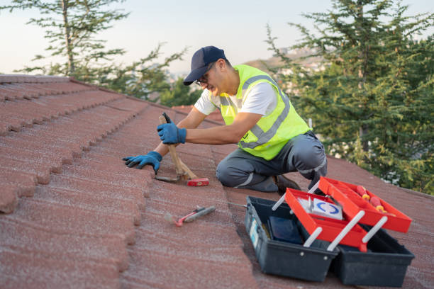 Best Storm Damage Roof Repair  in Pittsville, MD